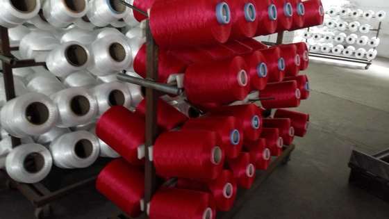 300D-3000D High Tenacity PP Filament Yarn 4 Spools/Carton