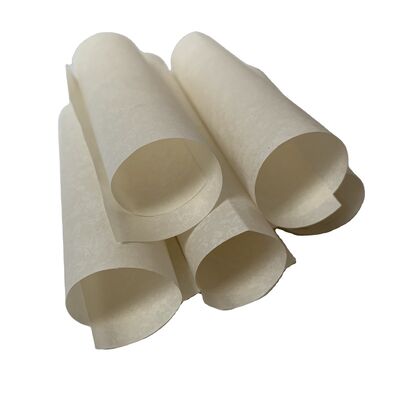 Kháng cách nhiệt 1,12 lần 10 lên sức mạnh của 14 ohm giấy cách nhiệt động cơ được thiết kế để chống nhiệt lên đến 300 độ C