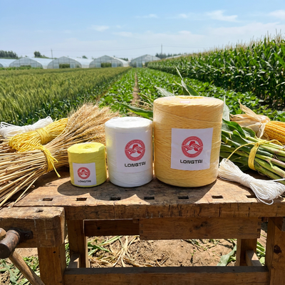 Anti Rot UV ổn định PP fibrillated Twine cho cây trồng Trellising